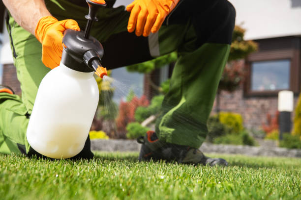 Wildlife Control Services in Nixon, TX