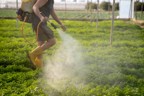Best Affordable Exterminators  in Nixon, TX