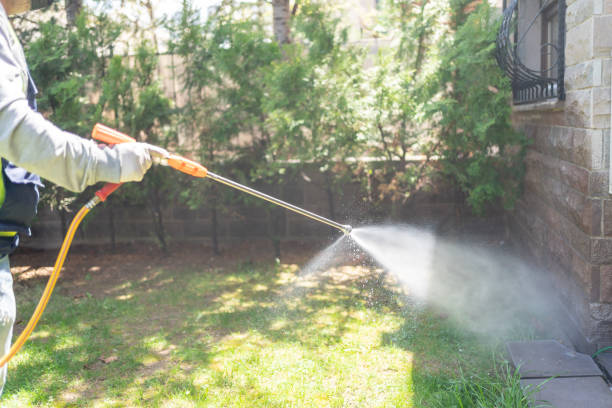 Best Local Pest Control Services  in Nixon, TX