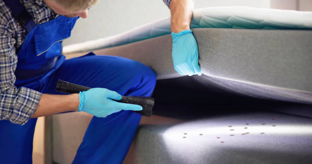 Best Pest Prevention Services  in Nixon, TX