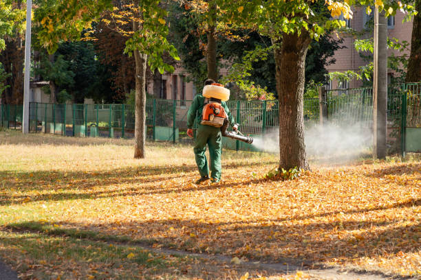 Best Emergency Pest Control  in Nixon, TX